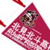 第89回全国大会出場記念品　北見北斗高校　ペナント
