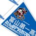 第89回全国大会出場記念品　富山第一高校　ペナント