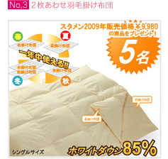 年中使える2枚あわせ羽毛掛け布団